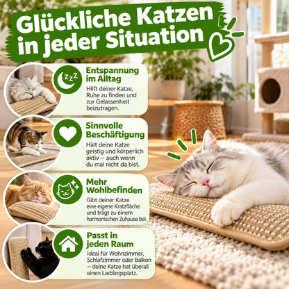 Kratzkissen für Katzen mit Catnip langlebig und robust