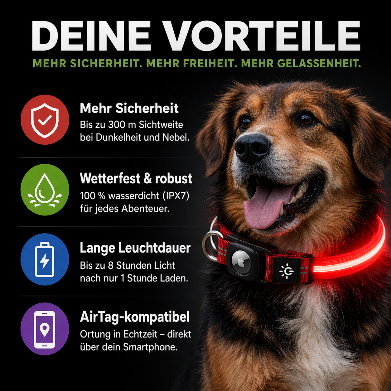 Wasserdichtes LED AirTag Hundehalsband mit USB-C