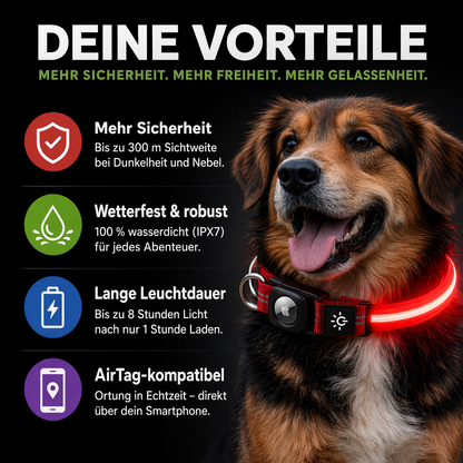 Wasserdichtes LED AirTag Hundehalsband mit USB-C