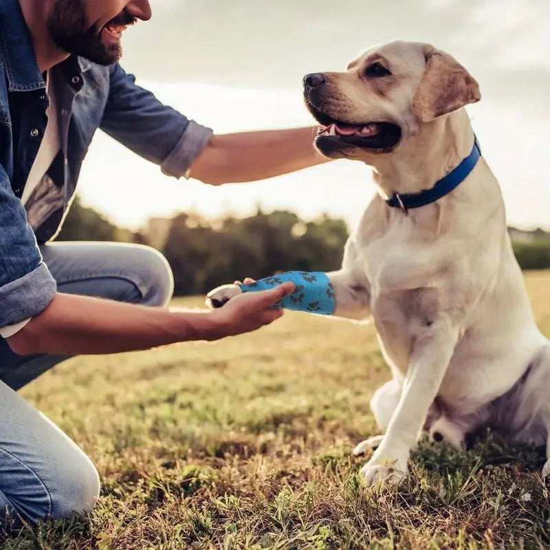 Selbsthaftende elastische Tierverbände – Komfortabler Schutz und Unterstützung für Pfoten und Gelenke
