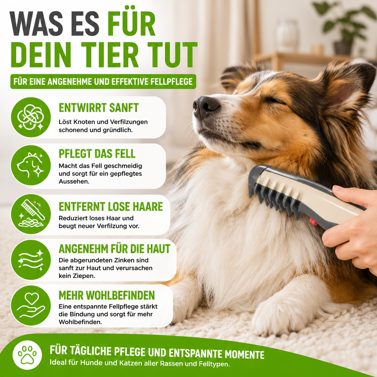 Elektrischer Entfilzungskamm für Haustiere