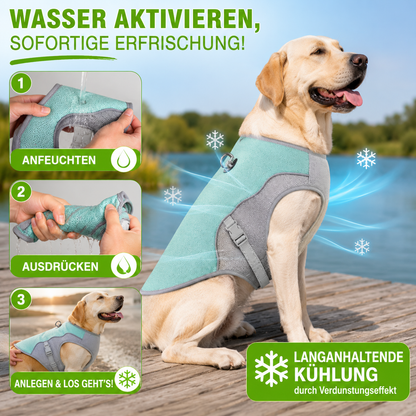 Kühlweste Hund mit Geschirr und Reflektoren