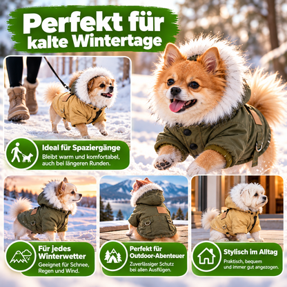 Hunde-Winterjacke mit Kapuze für kleine Hunde