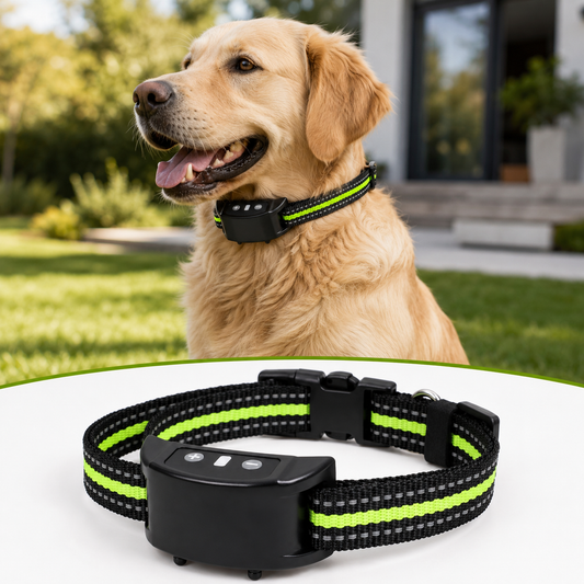 Automatisches Anti-Bell-Halsband mit Ton & Impuls