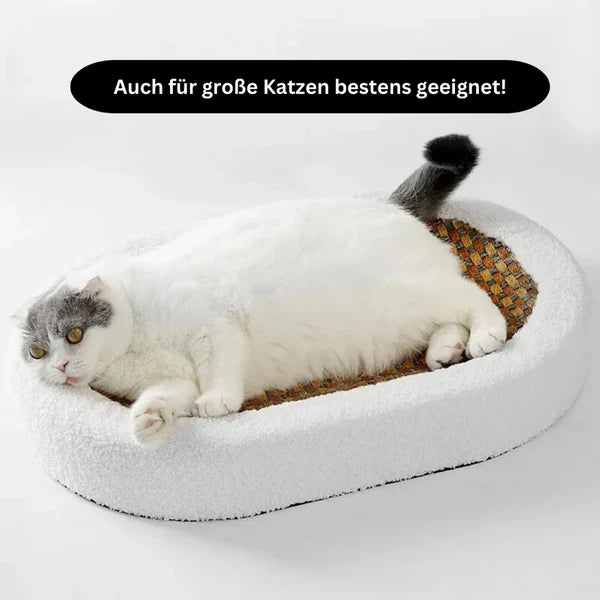 2-in-1 Katzenbett: Weicher Schlafplatz + eingebaute Kratzzone