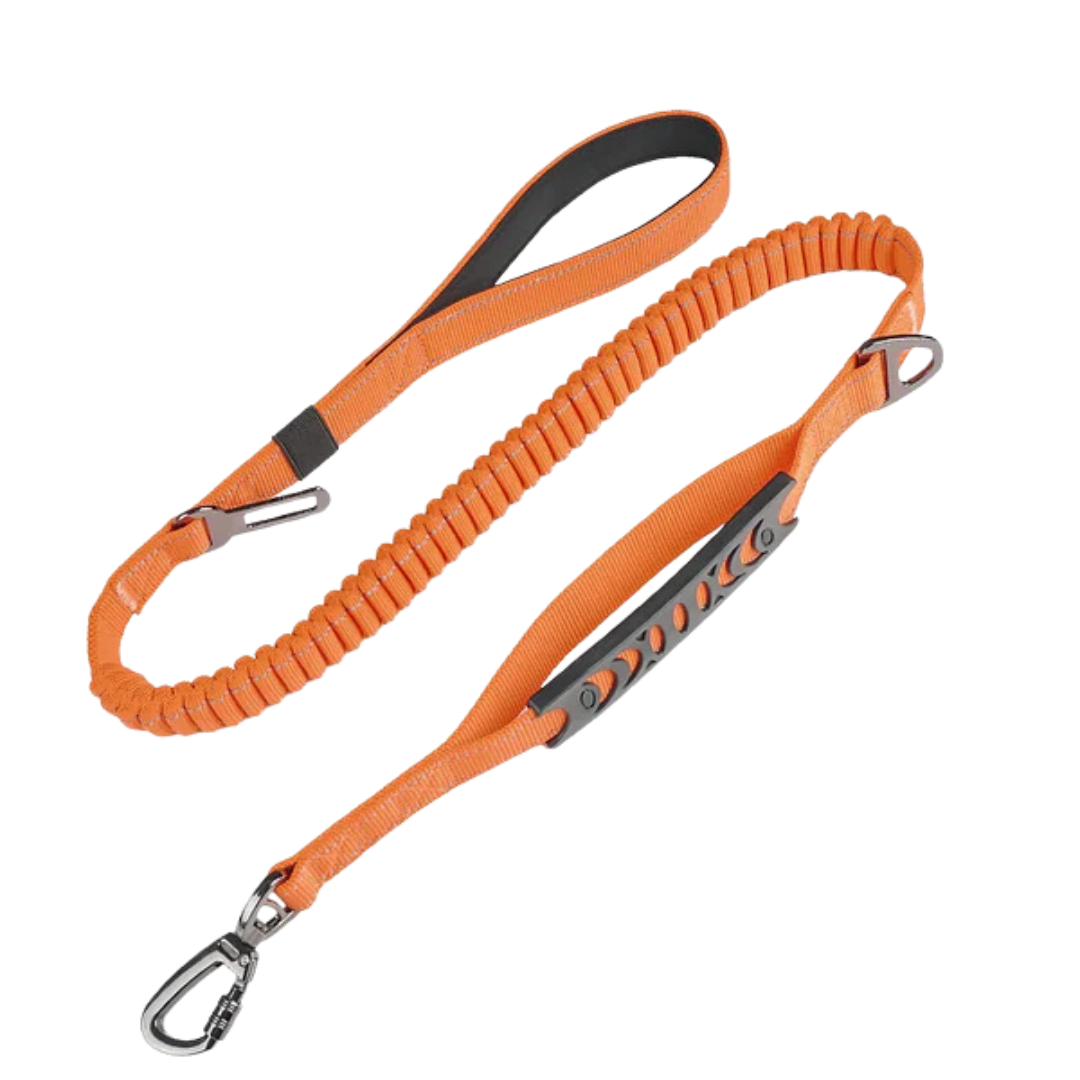 Stoßdämpfende Premium Hundeleine Orange