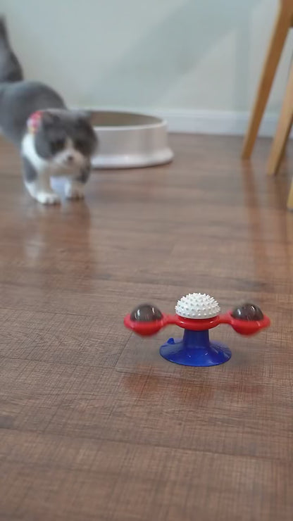 Interaktives Windmühlen-Katzenspielzeug - Spiel und Zahnpflege in Einem!
