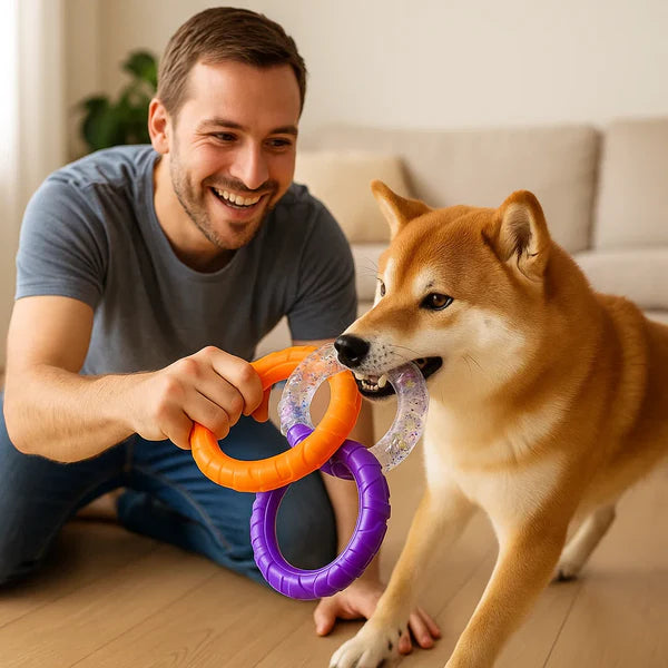 3 Ring Kauspielzeug für Hunde robust und zahnschonend