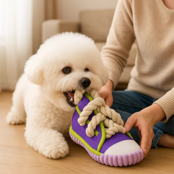Robustes Hundespielzeug Sneaker mit Seil und Quietschfunktion