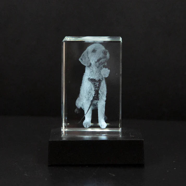 Personalisierter Haustier-Fotokristall – 2D/3D Gravur mit Licht