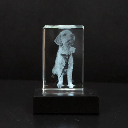 Personalisierter Haustier-Fotokristall – 2D/3D Gravur mit Licht