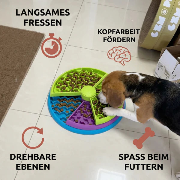 Schlingnapf für Hunde und Katzen mit 3 Ebenen