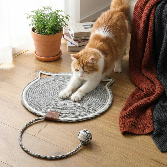 2-in-1 Katzen Kratzteppich & Spielmatte