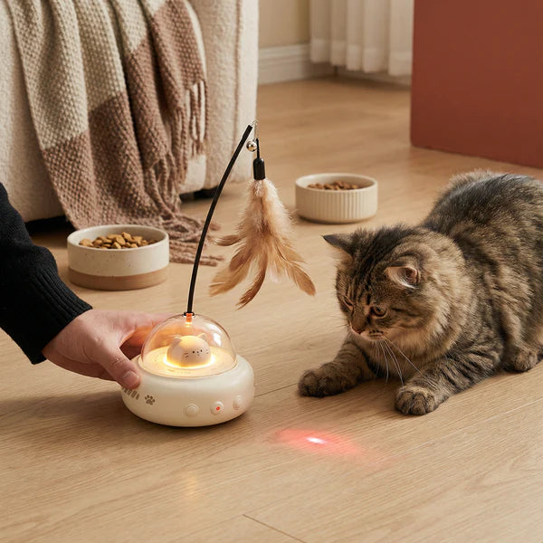 Smartes Katzen Spielzeug mit LED Laser & Feder