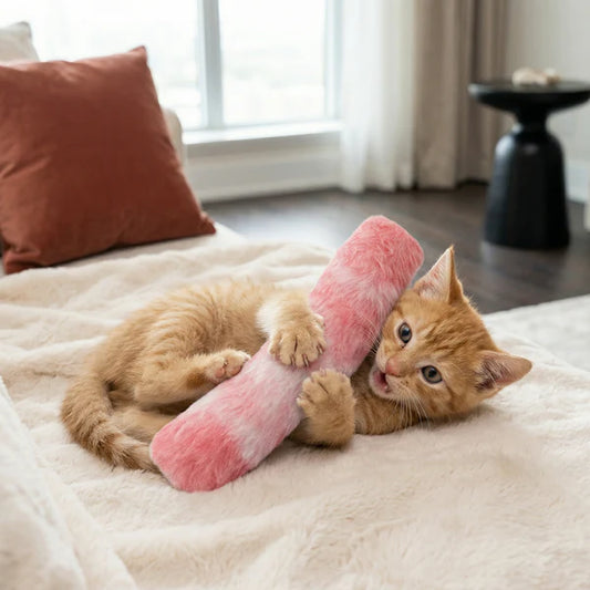 Katzenminze-Kissenspielzeug für Katzen