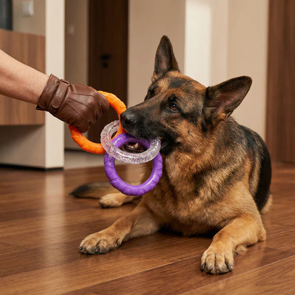 3 Ring Kauspielzeug für Hunde robust und zahnschonend
