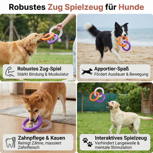 3 Ring Kauspielzeug für Hunde robust und zahnschonend