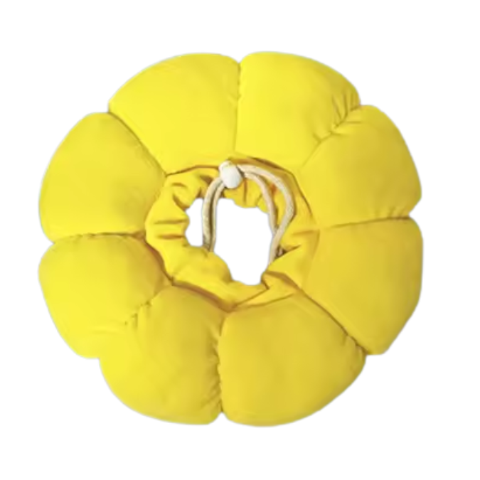 Sonnenblume Katzenhalsband nach Operationen – leckfrei, super bequem und stylisch